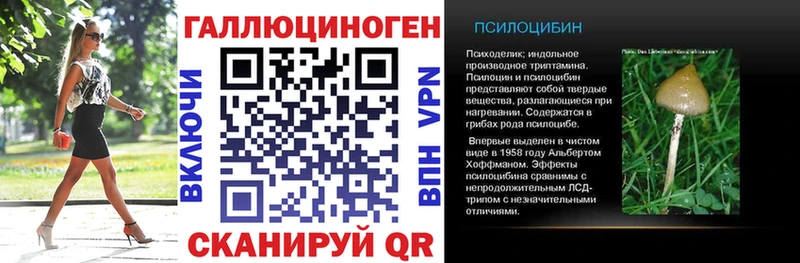 Галлюциногенные грибы MAGIC MUSHROOMS  Спас-Деменск 